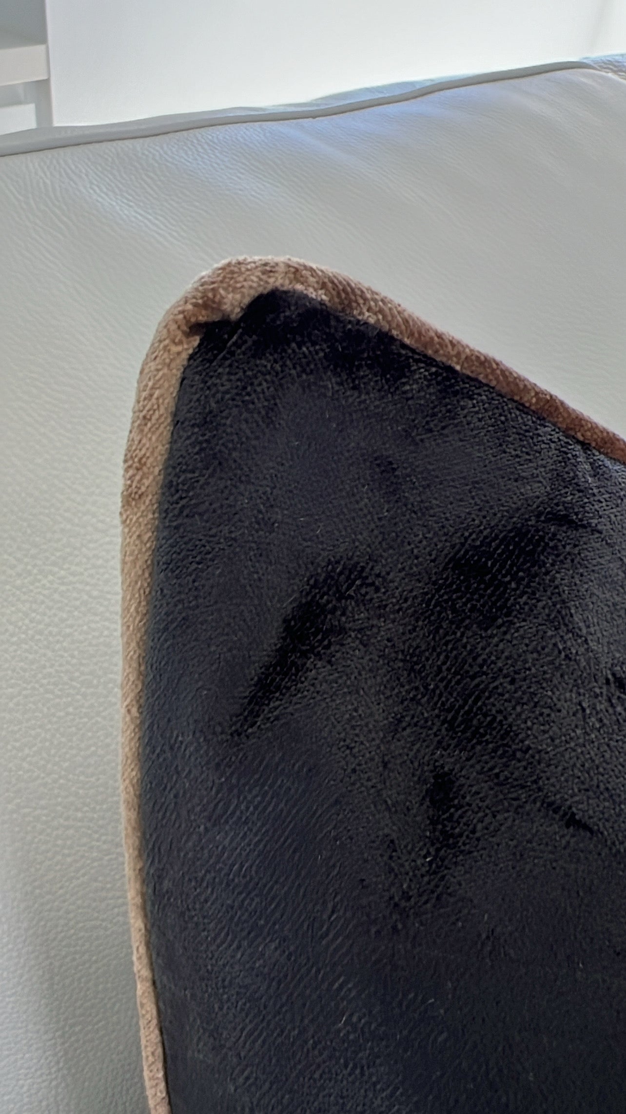 Royal luxe black / bronze piping cushion - Luscious Homewares