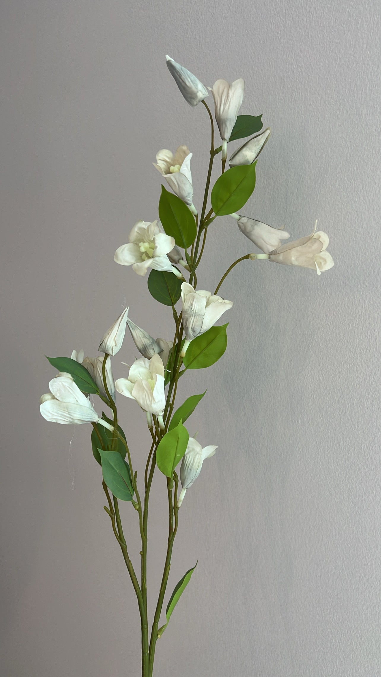 Lily nudie grey flower stem - Luscious Homewares