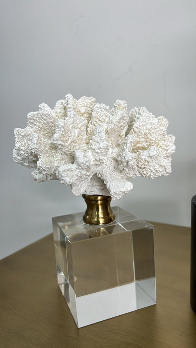 coral sculpture on crystal glass stand - Luscious Homewares