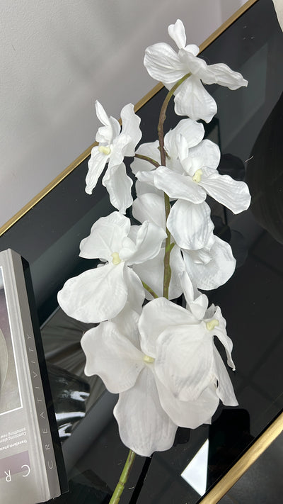 Angelican real touch white orchid 95 cm stem - Luscious Homewares