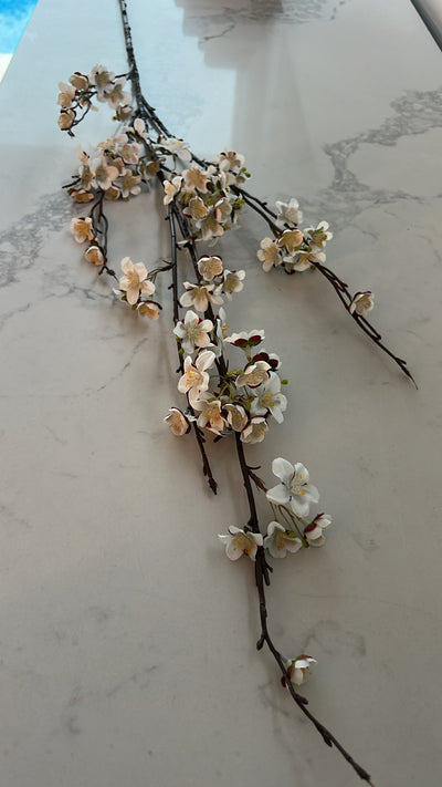 Cherry blossom branch 120 cm stem - Luscious Homewares
