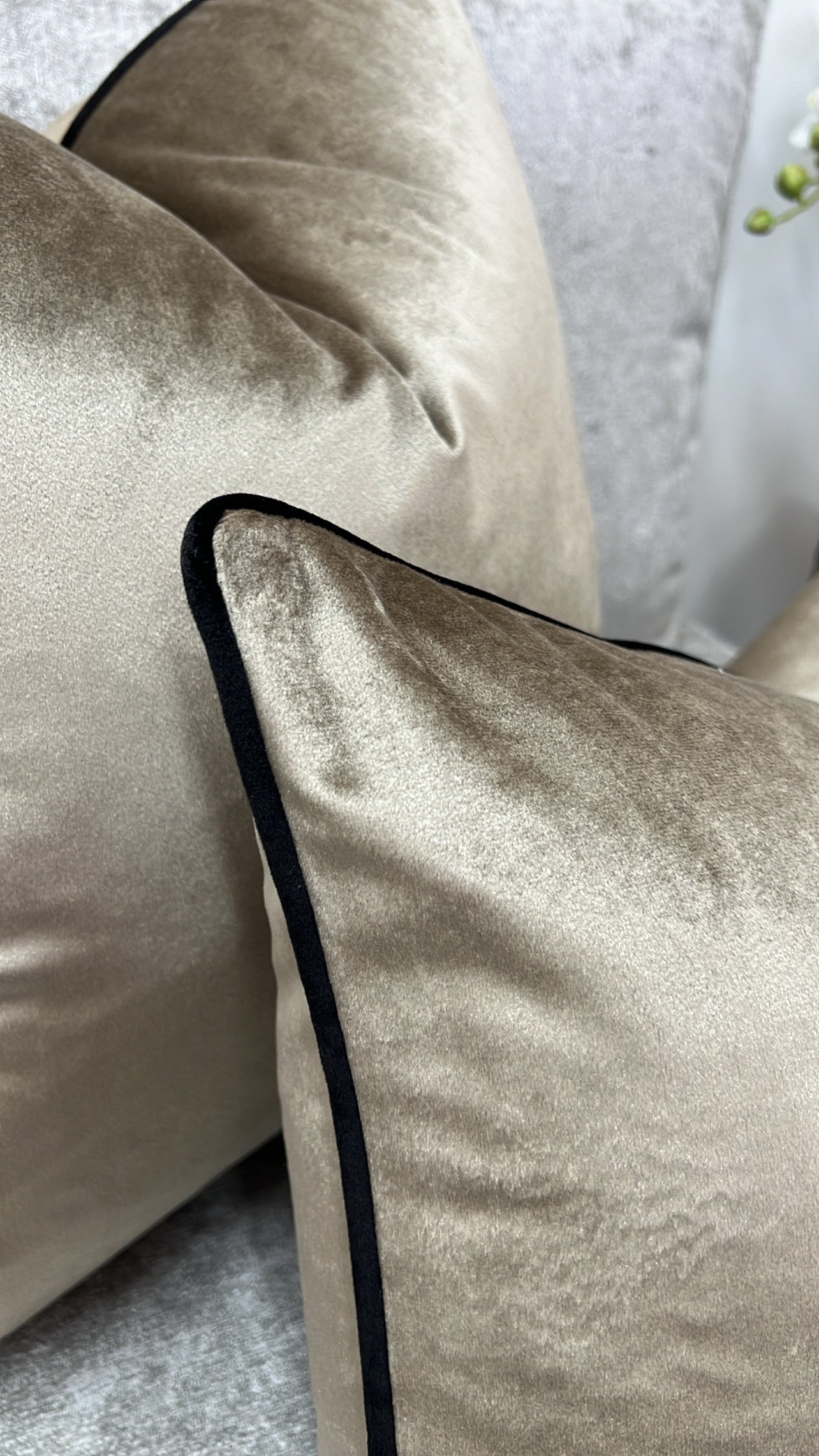 Senyorita dark champagne /black trim cushion - Luscious Homewares