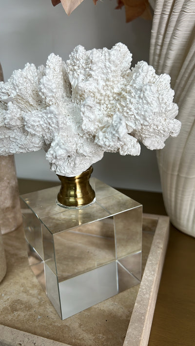 coral sculpture on crystal glass stand - Luscious Homewares
