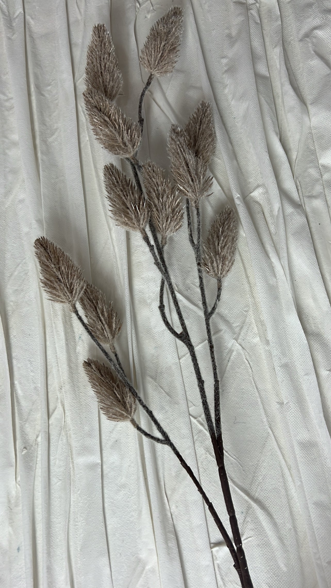 Long Bunny tail Faux stem                                 Available in 4 colours - Luscious Homewares