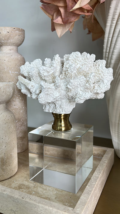 coral sculpture on crystal glass stand - Luscious Homewares