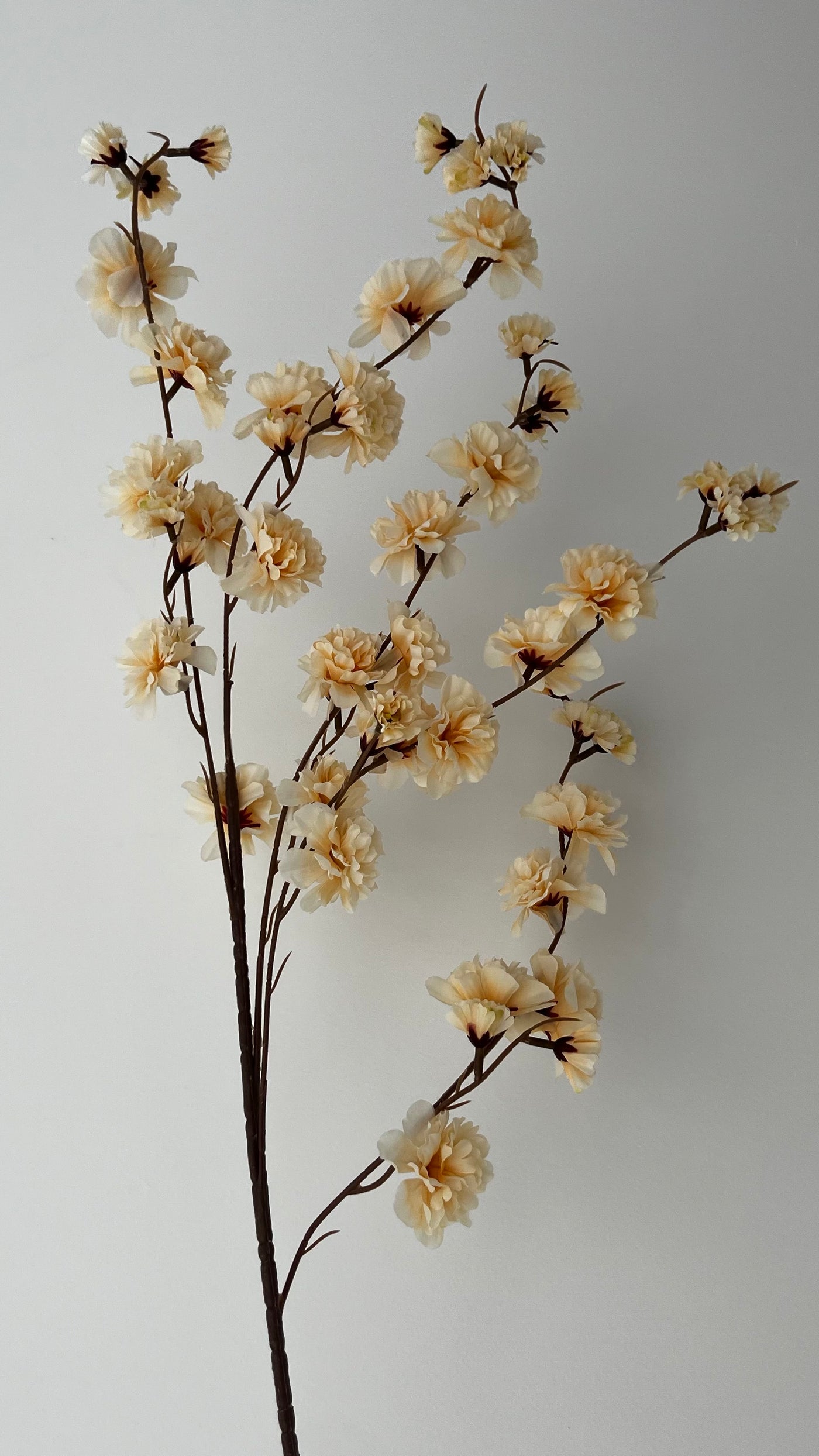 Silk cherry blossom stem - Luscious Homewares