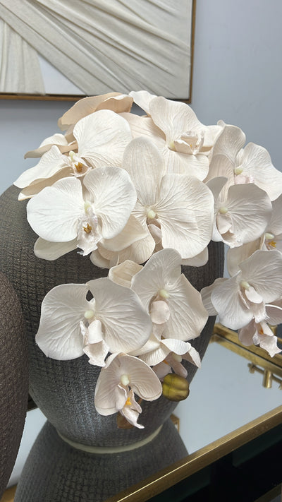 Soft nude large orchid flower stem - Luscious Homewares