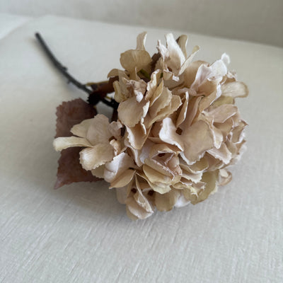 Natural Hydrangea soft touch artificial stem - Luscious Homewares