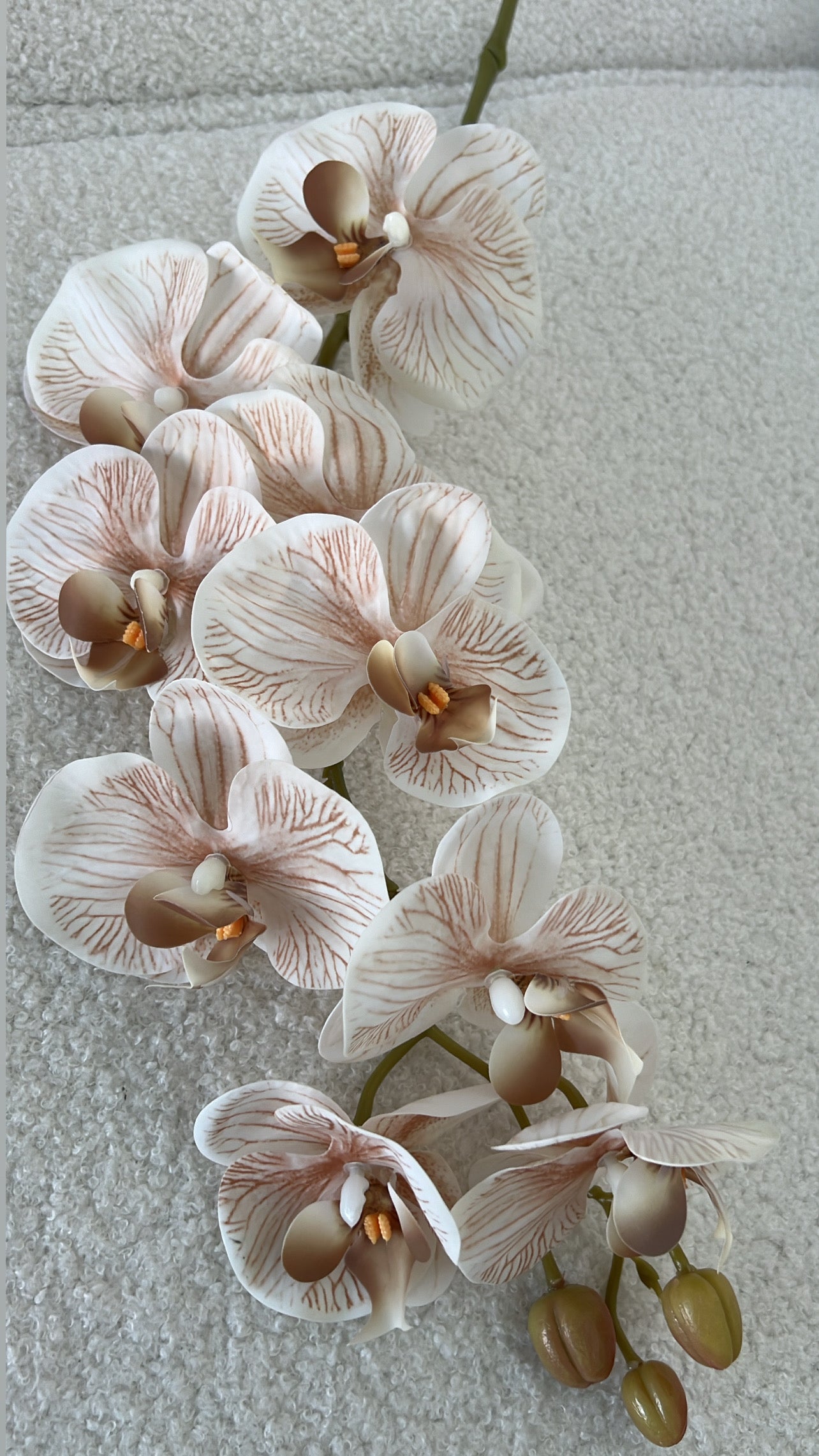 Sandy real touch orchid - Luscious Homewares