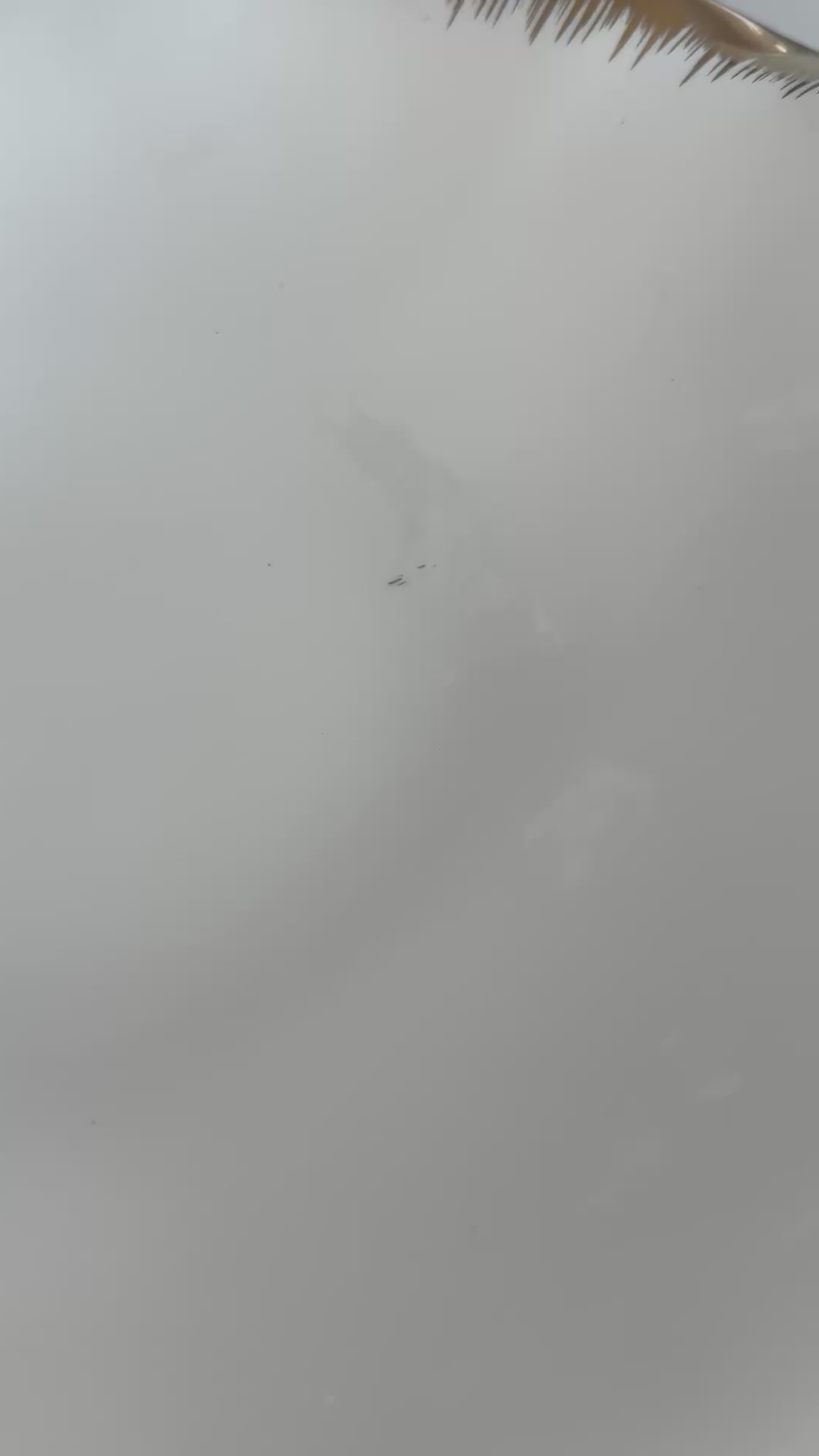 Leanna white and gold round serving bowl platter with stand